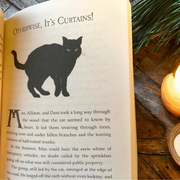 DISNEY Hocus Pocus & the All New Sequel Hardback Book - Picture 6 of 7